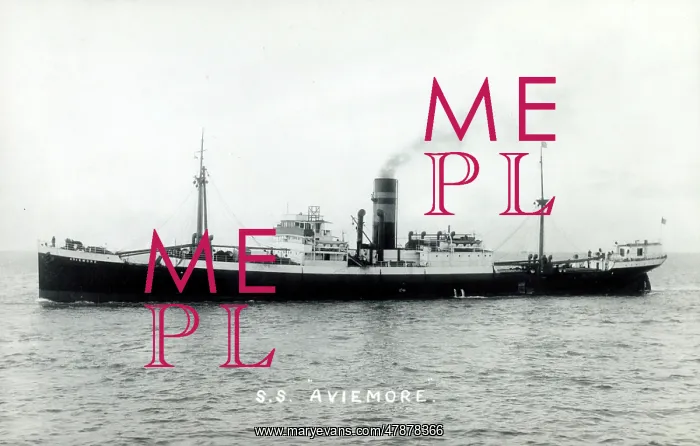 : SS Aviemore - British Steam merchant : SS Aviemore - British Steam merchant