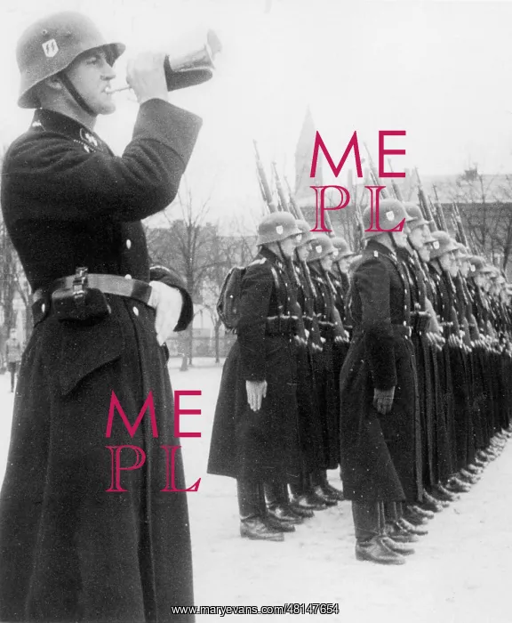 : SS Bodyguard Regiment Adolf Hitler falls in : SS Bodyguard Regiment Adolf Hitler falls in