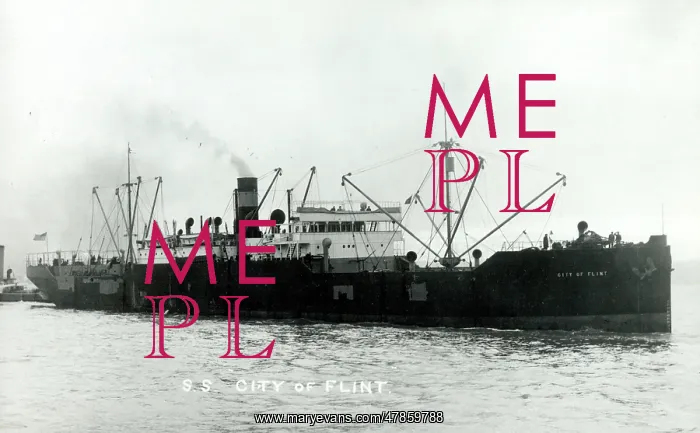 : SS City of Flint : SS City of Flint