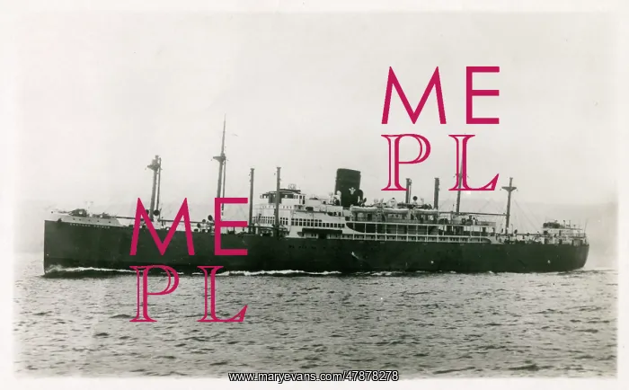 : SS Eastern Prince (Prince Line Ltd.) : SS Eastern Prince (Prince Line Ltd.)