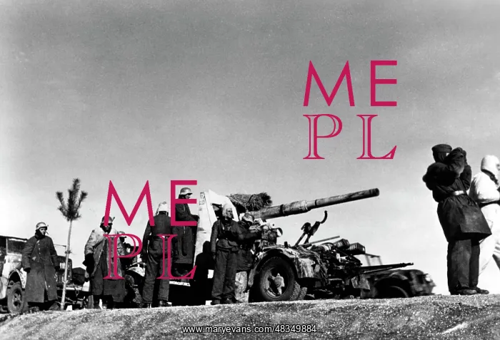 : SS grenadiers on the Donets front, 1943 : SS grenadiers on the Donets front, 1943