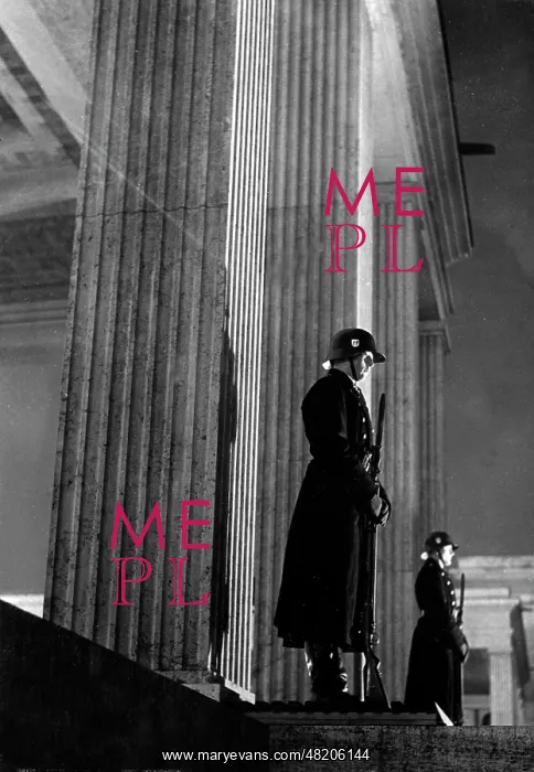 : SS Honours Guards at the Munich Konigsplatz, 1936 : SS Honours Guards at the Munich Konigsplatz, 1936