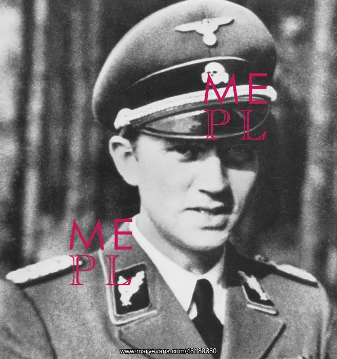 : SS Leader Walter Schellenberg : SS Leader Walter Schellenberg