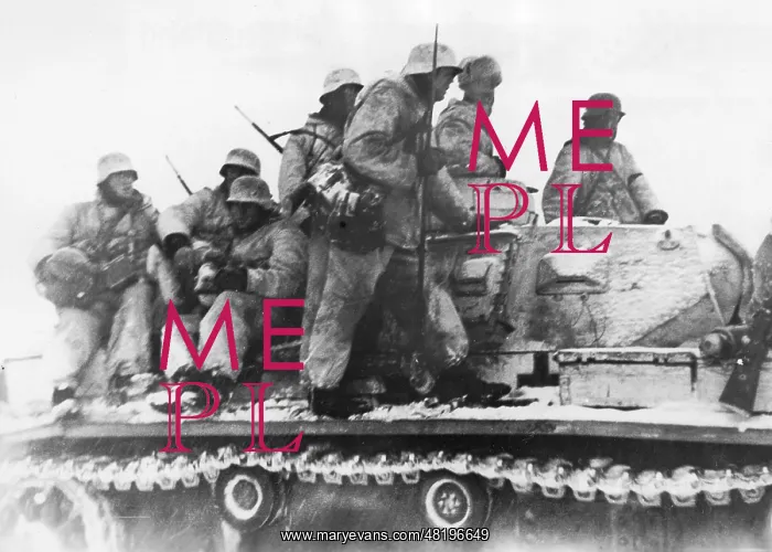 : SS soldiers during combat on the Eastern front, 1943 : SS soldiers during combat on the Eastern front, 1943