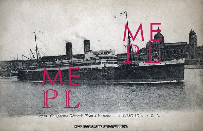: SS Timgad, transatlantic cruise liner : SS Timgad, transatlantic cruise liner