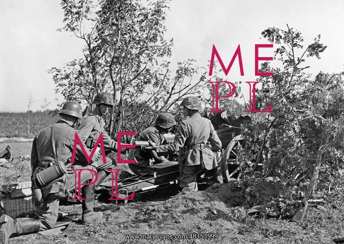 : SS-Verfuegungstruppe, 1938 : SS-Verfuegungstruppe, 1938