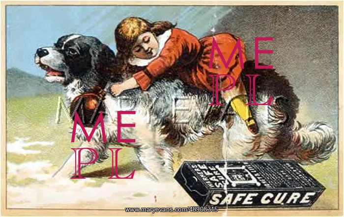 : ST BERNARD ADVERTISING : ST BERNARD ADVERTISING