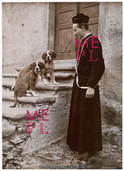 : ST BERNARD PRIOR & DOGS : ST BERNARD PRIOR & DOGS