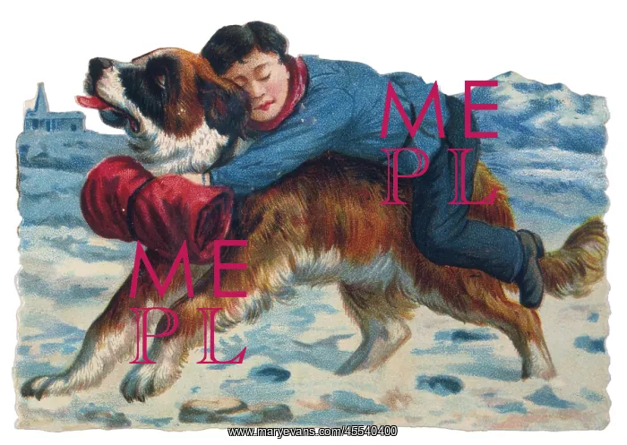  : St Bernard Rescues Boy