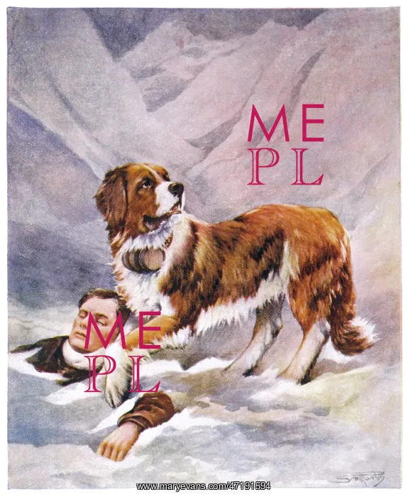 : St Bernard and Victim : St Bernard and Victim