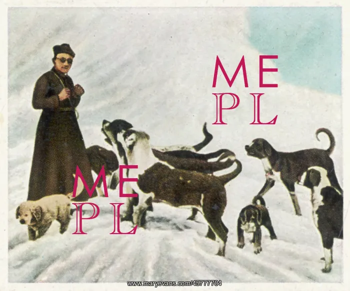  : ST BERNARDS IN TIBET