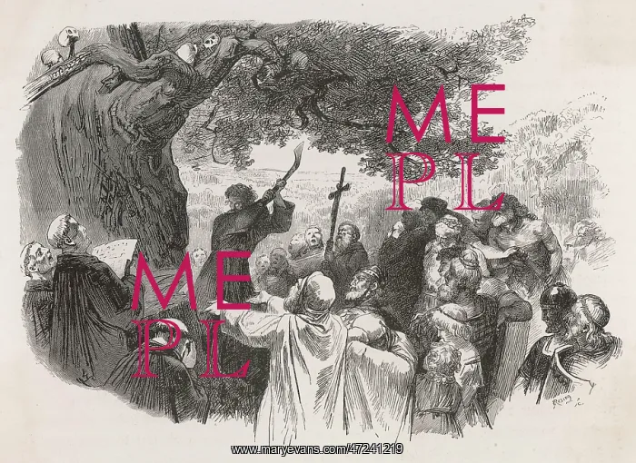 : ST BONIFACE / SACRED OAK : ST BONIFACE / SACRED OAK