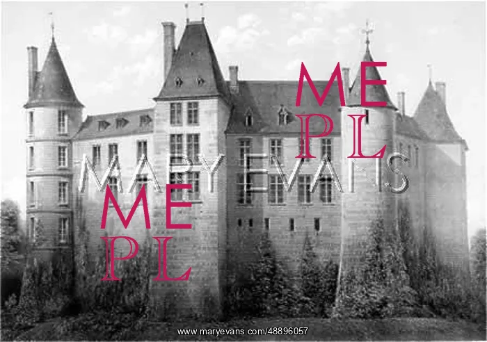  : ST BRISSON / CHATEAU C1860