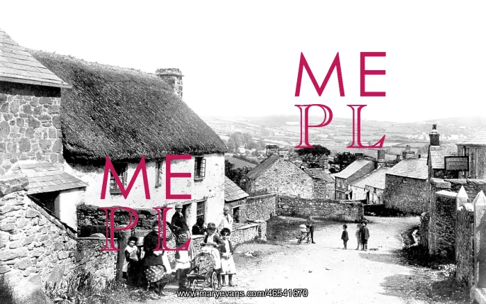  : St Cleer, the Village 1890