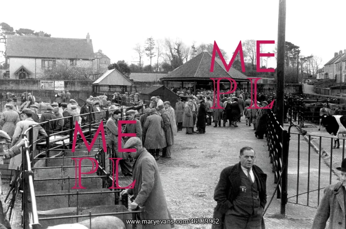  : St Columb Major, Market Day c1955
