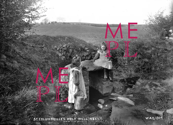 : St. Columbkille's Holy Well, Kells : St. Columbkille's Holy Well, Kells
