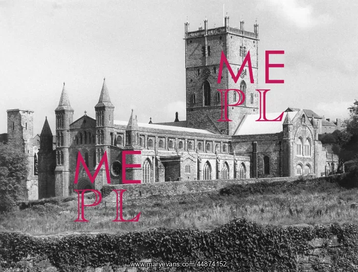 : ST. DAVID'S CATHEDRAL : ST. DAVID'S CATHEDRAL