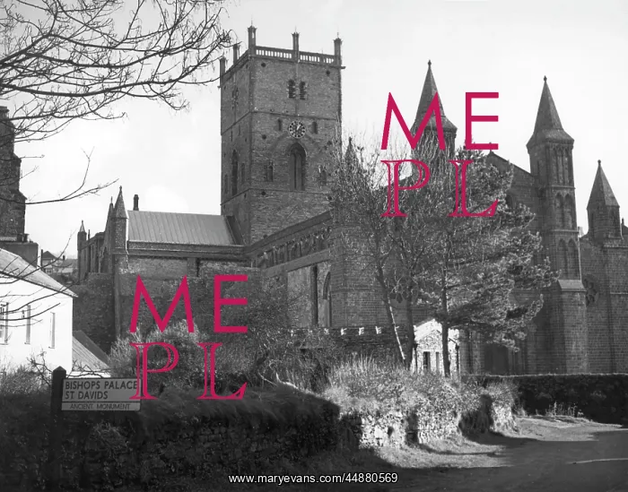 : ST. DAVID'S CATHEDRAL : ST. DAVID'S CATHEDRAL