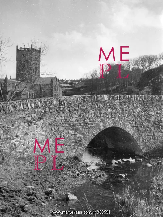: ST. DAVID'S CATHEDRAL : ST. DAVID'S CATHEDRAL