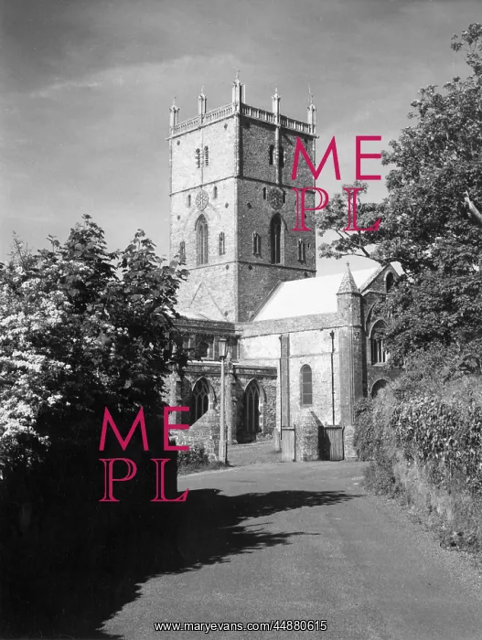 : ST. DAVID'S CATHEDRAL : ST. DAVID'S CATHEDRAL