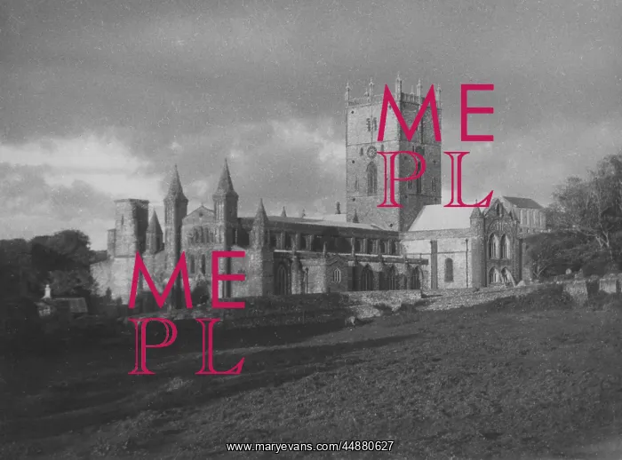 : ST. DAVID'S CATHEDRAL : ST. DAVID'S CATHEDRAL