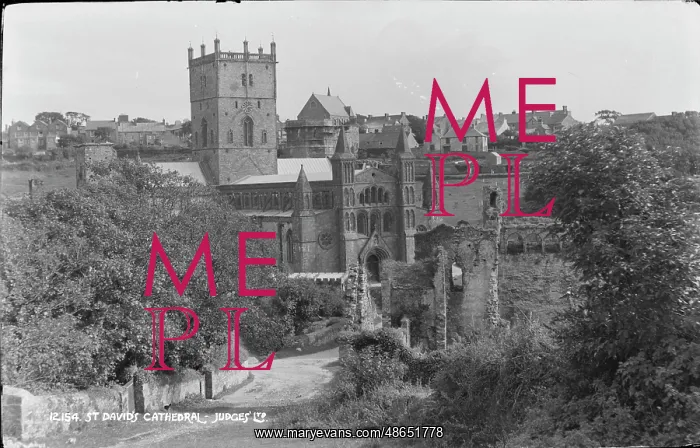 : St. David's Cathedral : St. David's Cathedral