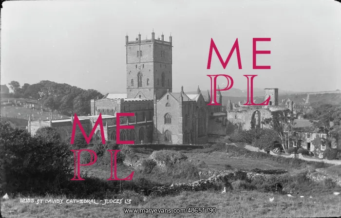: St David's Cathedral : St David's Cathedral