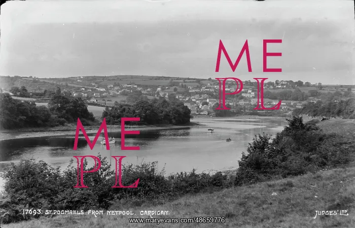 : St. Dogmaels from Netpool, Cardigan : St. Dogmaels from Netpool, Cardigan