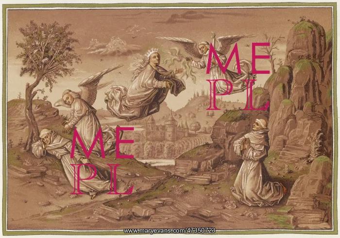  : ST FRANCIS ASSISI VISION