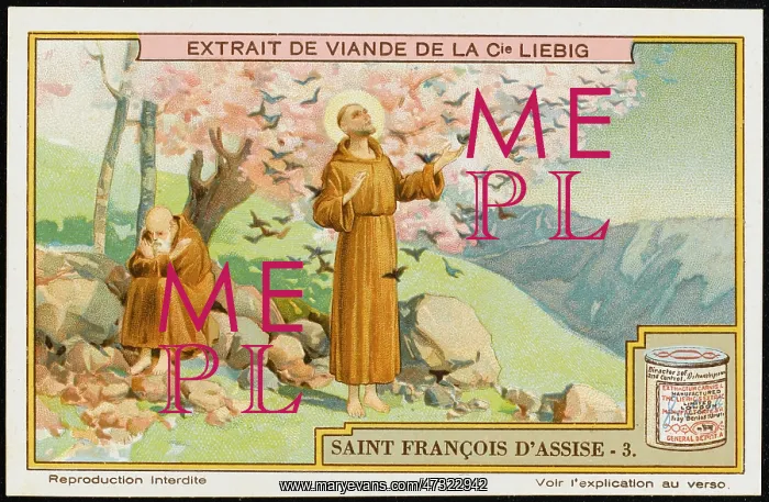 : ST FRANCIS AND BIRDS : ST FRANCIS AND BIRDS