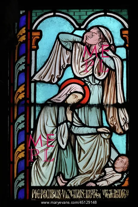 : St Genevieve stained glass window, Cloister, Cathedrale : St Genevieve stained glass window, Cloister, Cathedrale