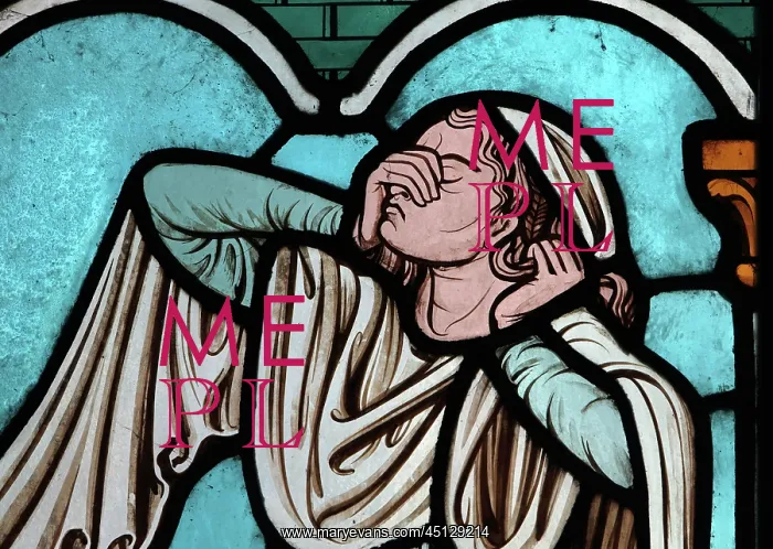 : St Genevieve stained glass window, Cloister, Cathedrale : St Genevieve stained glass window, Cloister, Cathedrale