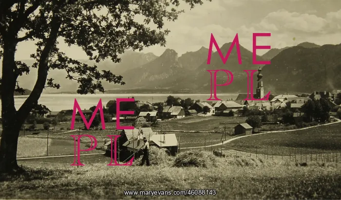 : St. Gilgen. Farmer making hay. About 1950 : St. Gilgen. Farmer making hay. About 1950