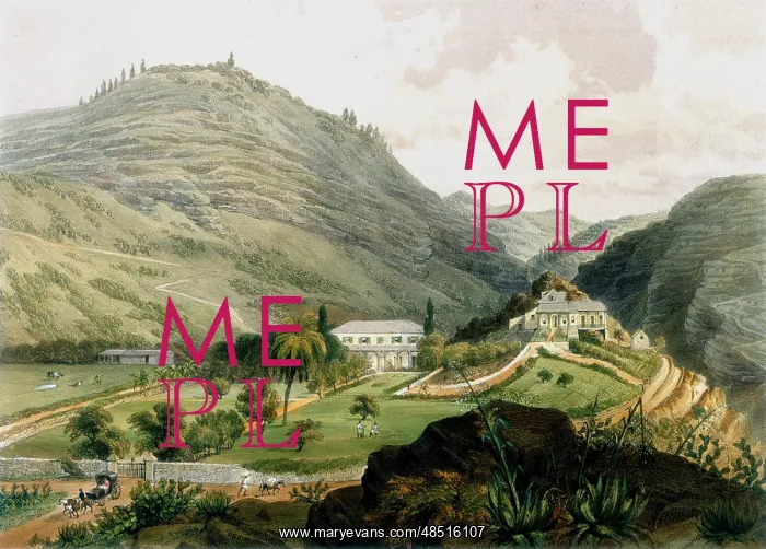 : St Helena showing The Briars'. Lithograph after : St Helena showing The Briars'. Lithograph after