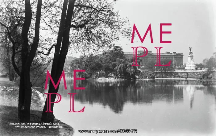 : St. James's Park and Buckingham Palace : St. James's Park and Buckingham Palace