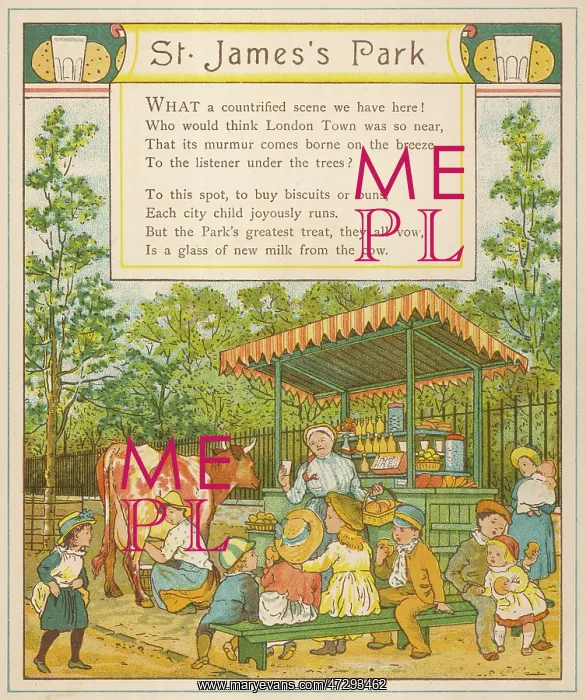 : St James's Park - Cow's Milk : St James's Park - Cow's Milk