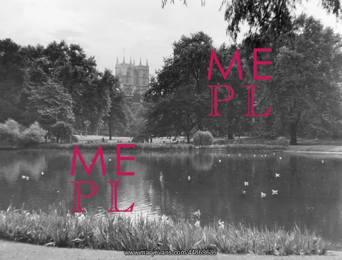 : ST. JAMES'S PARK LAKE : ST. JAMES'S PARK LAKE