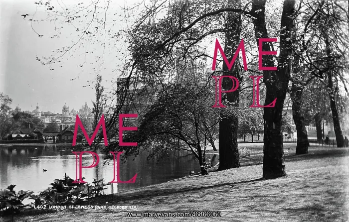 : St. James's Park, London : St. James's Park, London