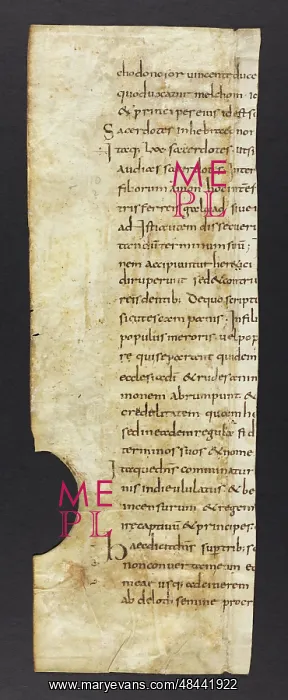  : St Jerome's Commentary on the Prophet Amos (Fragment)