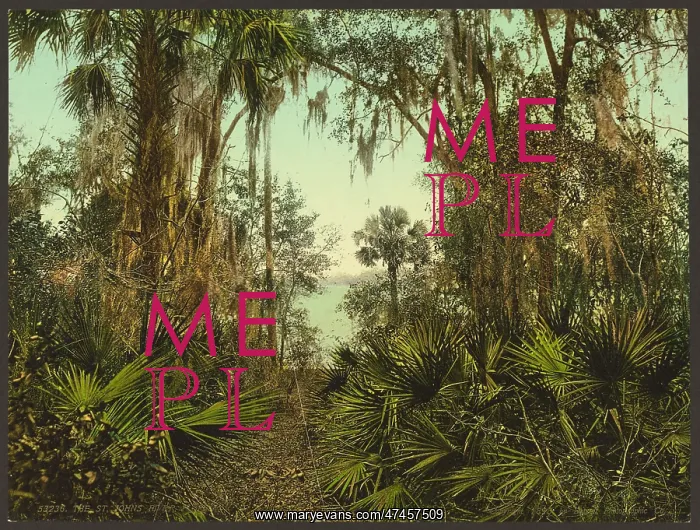  : The St. Johns River, Florida