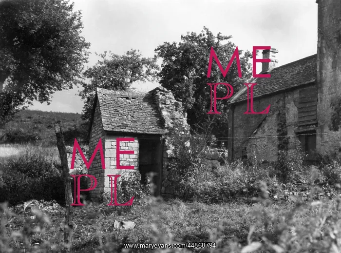 : ST. KENELM'S WELL : ST. KENELM'S WELL