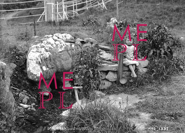 : St. Kieran's Holy Well, Kells : St. Kieran's Holy Well, Kells
