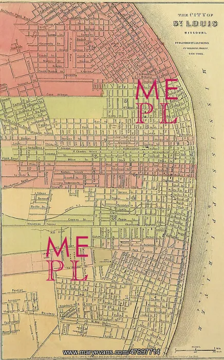 : St. Louis in 1865 : St. Louis in 1865