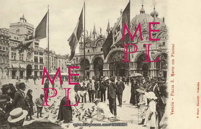 : St Mark's Square - Venice : St Mark's Square - Venice
