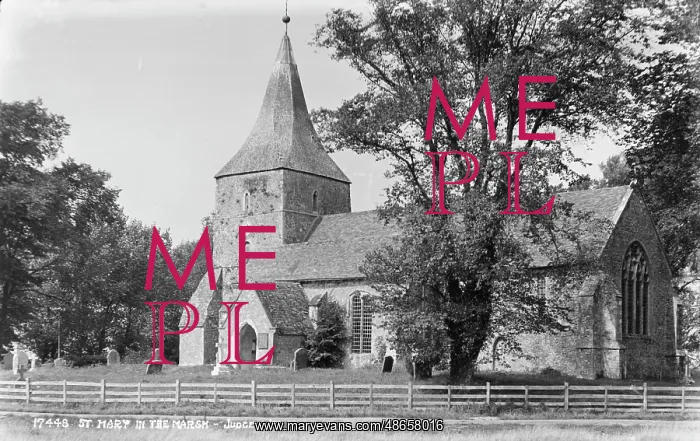: St. Mary in the Marsh : St. Mary in the Marsh
