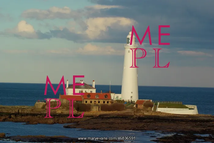 : St Marys Island and Lighthouse - Hartley : St Marys Island and Lighthouse - Hartley
