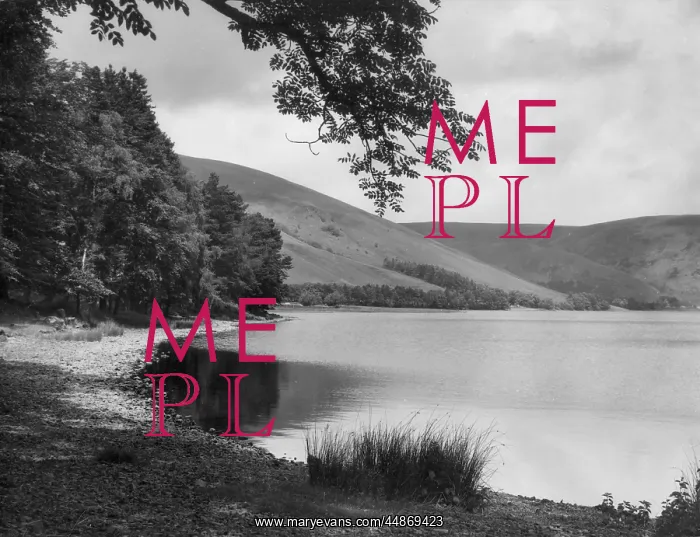 : ST. MARY'S LOCH : ST. MARY'S LOCH