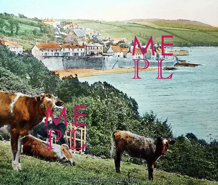  : St Mawes, Cornwall, Victorian period