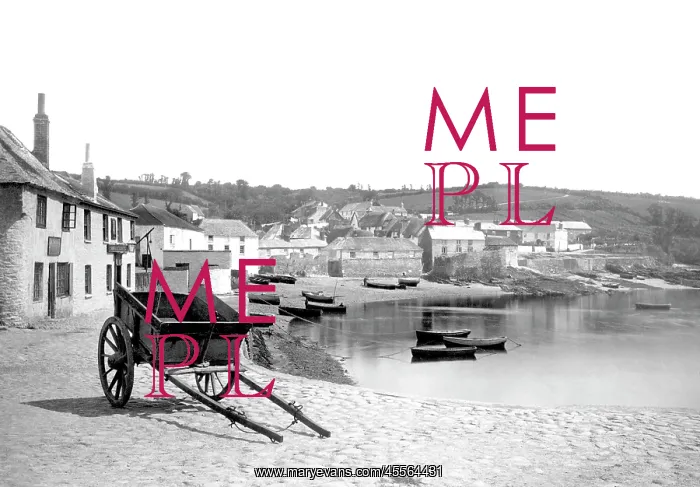  : St Mawes, the Village 1890
