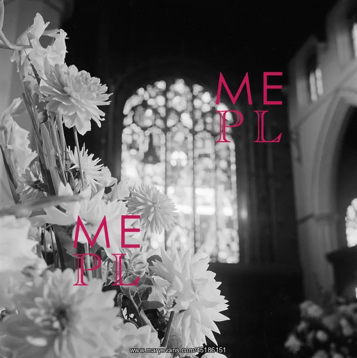 : St Michael's Church : St Michael's Church
